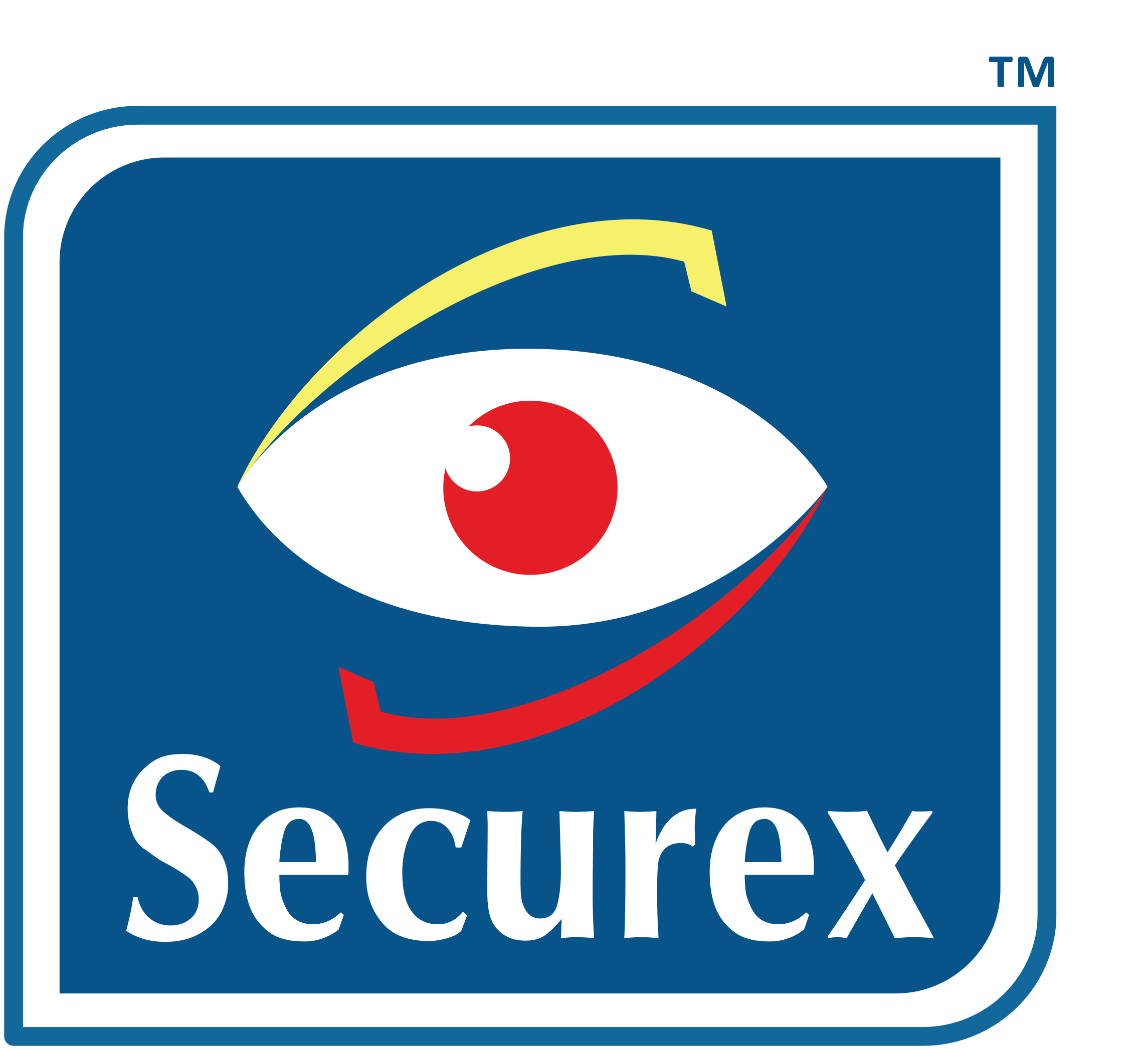 Securex-Updated-Logo-2020
